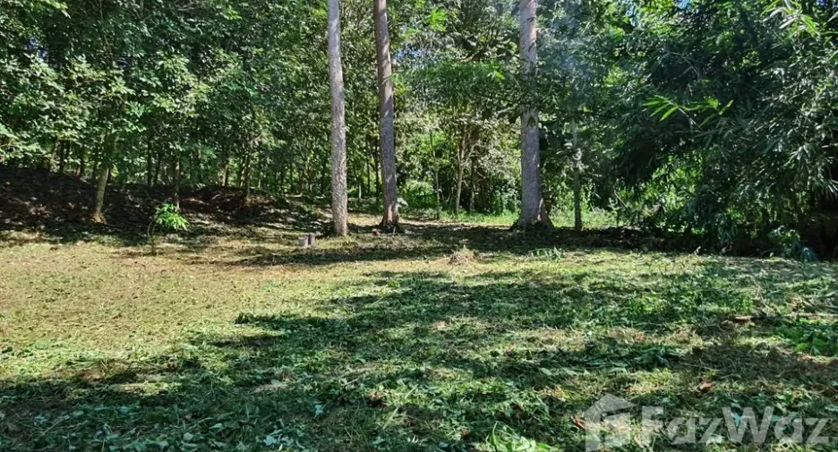 For sale land in Muang Nan, Nan