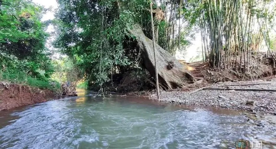 For sale land in Muang Nan, Nan