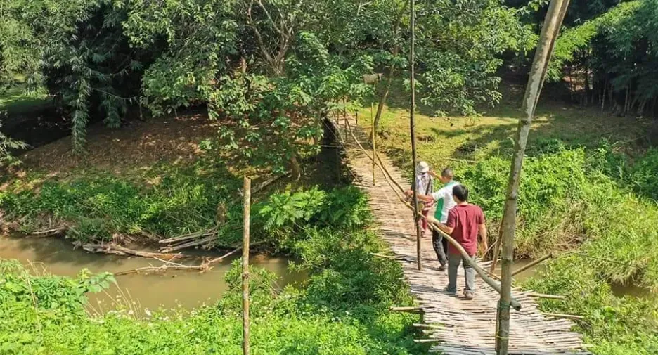 For sale land in Muang Nan, Nan