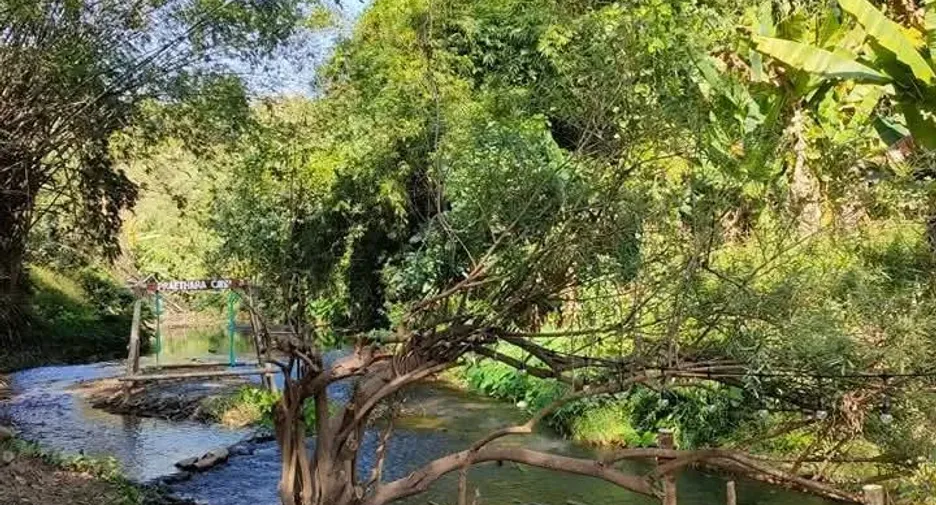 For sale land in Muang Nan, Nan