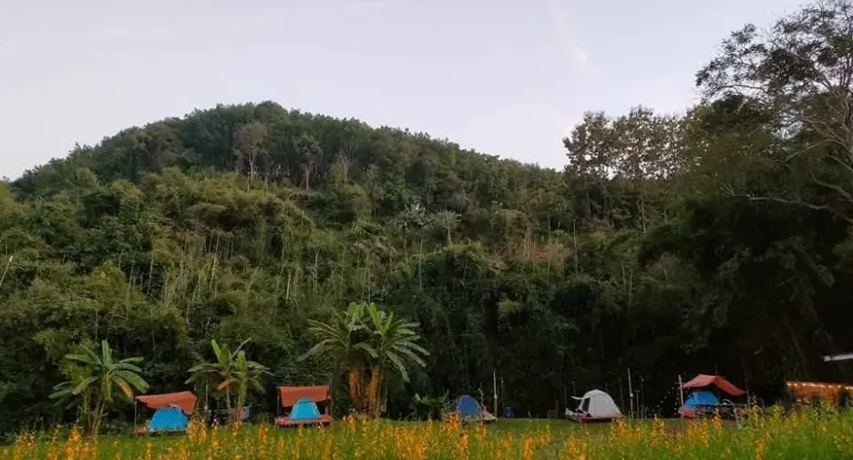 For sale land in Muang Nan, Nan