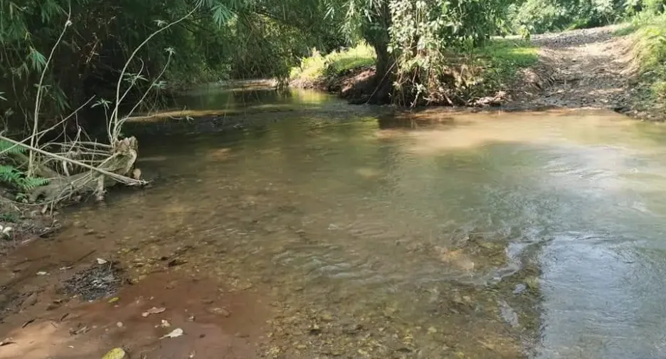 For sale land in Muang Nan, Nan