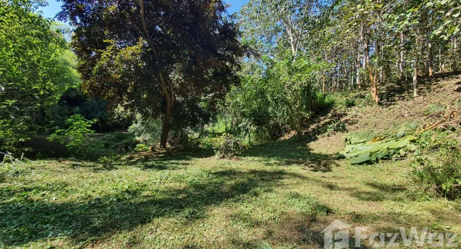 For sale land in Muang Nan, Nan