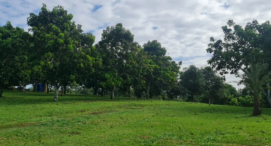 出售 2 卧室 别墅 在 Mueang Chiang Rai, Chiang Rai