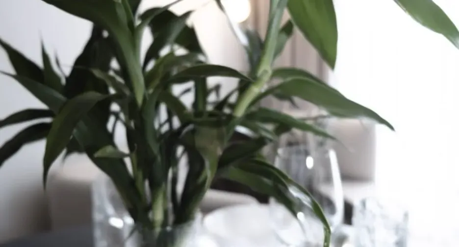 For sale 2 bedrooms apartment in Thalang, Phuket