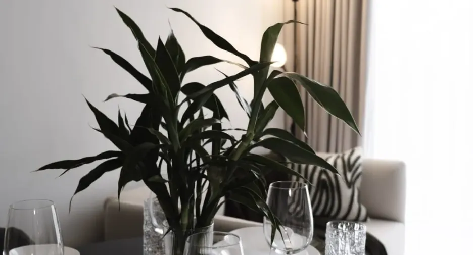 For sale 2 bedrooms apartment in Thalang, Phuket