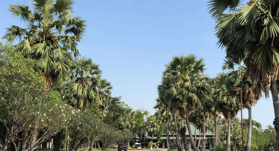 For sale land in Prawet, Bangkok