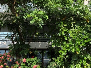 Casa adosada en venta de 4 habitaciones en Suan Luang, Bangkok