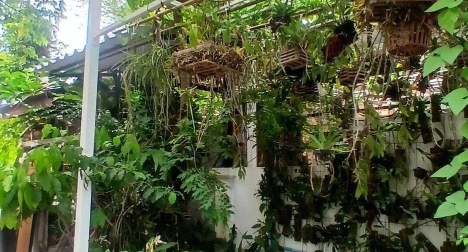 For sale 4 bedrooms house in Mueang Phuket, Phuket