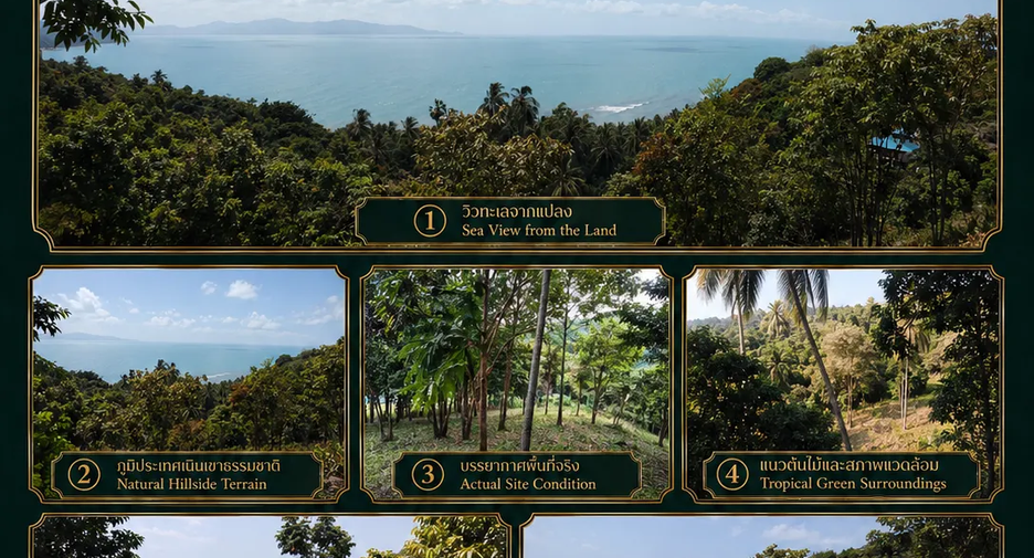 Terreno en venta en Ko Pha-ngan, Surat Thani