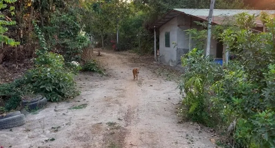 Grundstück zum Kauf in Phanom Sarakham, Chachoengsao