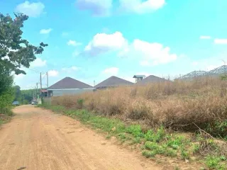 ขาย ที่ดิน ใน นิคมพัฒนา, ระยอง