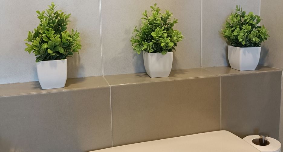 For sale and for rent studio condo in Hat Yai, Songkhla
