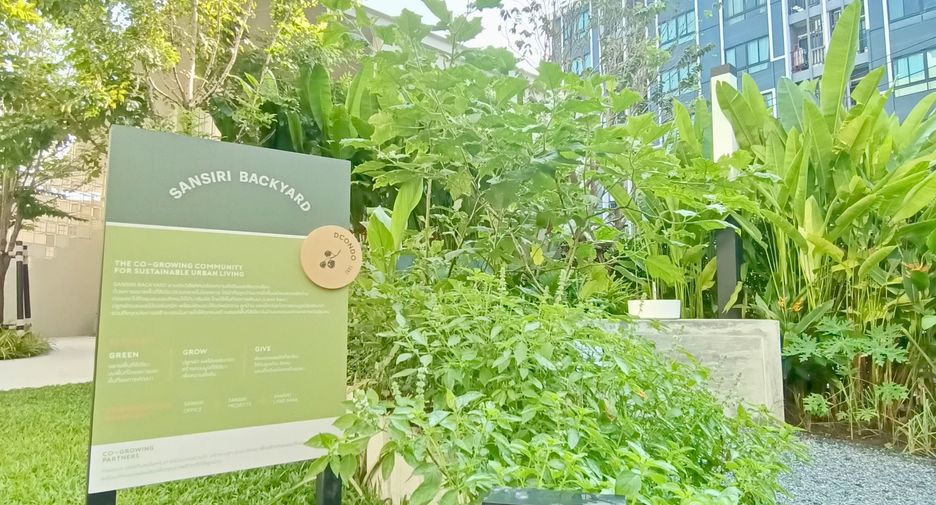 For sale and for rent studio condo in Hat Yai, Songkhla
