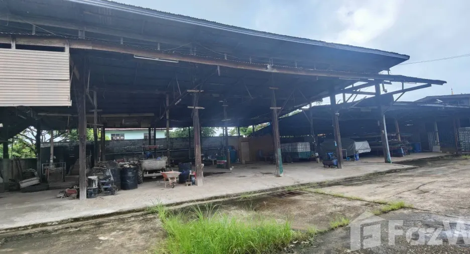 Grundstück zum Kauf in Loeng Nok Tha, Yasothon