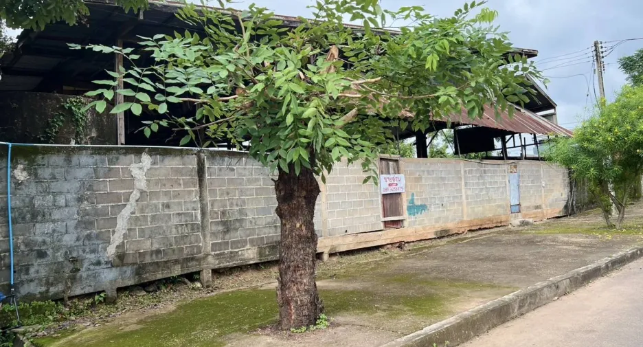 Grundstück zum Kauf in Loeng Nok Tha, Yasothon
