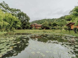 For sale and for rent 5 bedrooms villa in Mae Rim, Chiang Mai