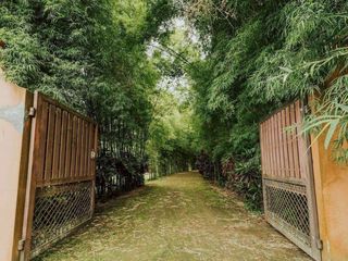 For sale and for rent 5 bedrooms villa in Mae Rim, Chiang Mai