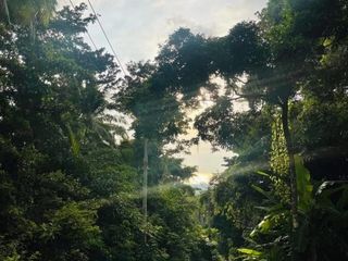 出售 土地 在 苏梅岛, 素叻