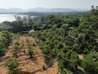 For sale land in Mueang Phuket, Phuket