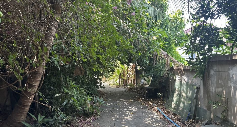 出售 土地 在 Mueang Chiang Mai, Chiang Mai