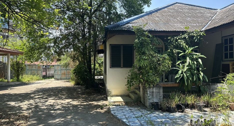 出售 土地 在 Mueang Chiang Mai, Chiang Mai