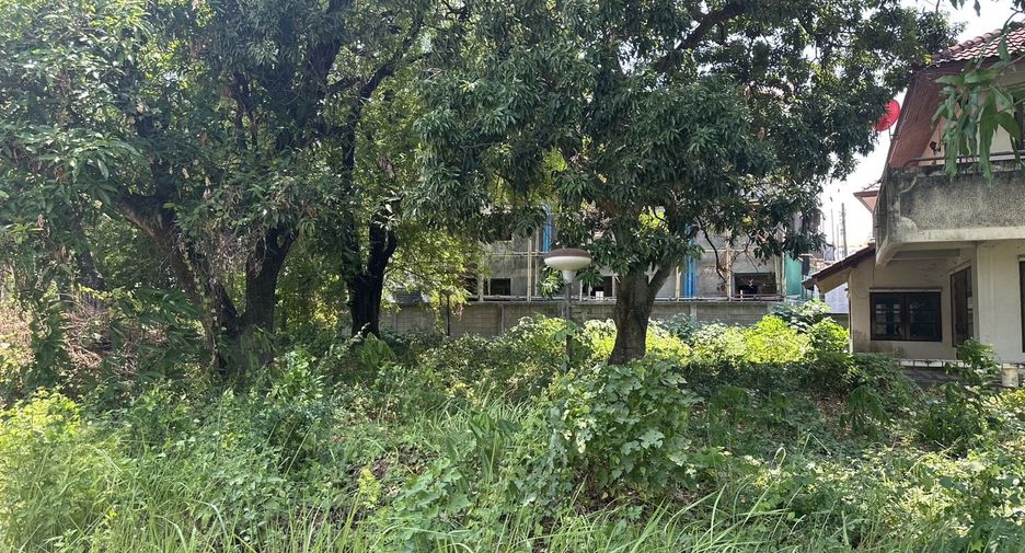 出售 土地 在 Mueang Chiang Mai, Chiang Mai