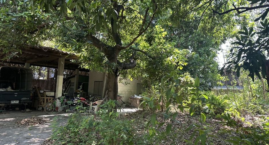出售 土地 在 Mueang Chiang Mai, Chiang Mai
