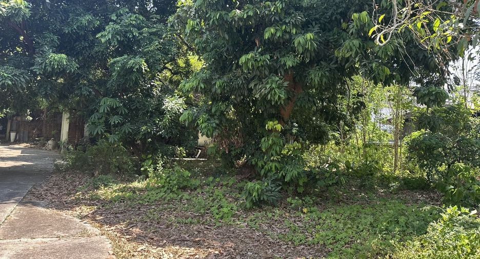 出售 土地 在 Mueang Chiang Mai, Chiang Mai