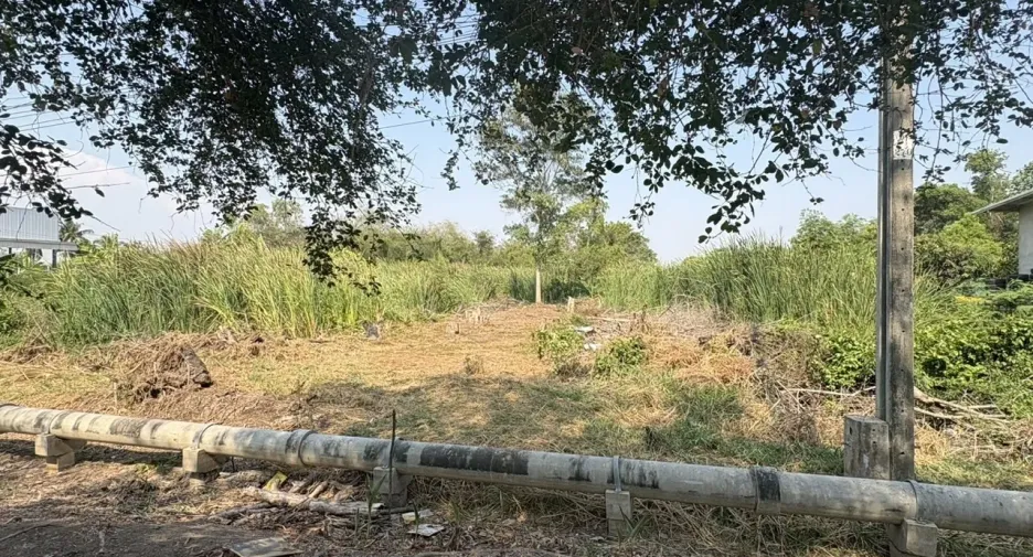 For sale land in Nong Chok, Bangkok