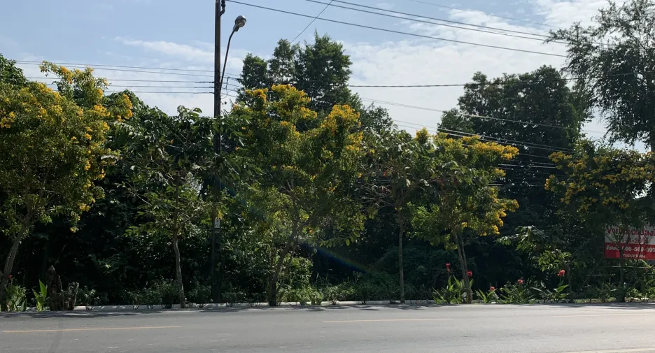 For sale land in Nong Chok, Bangkok