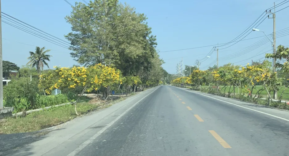 For sale land in Nong Chok, Bangkok