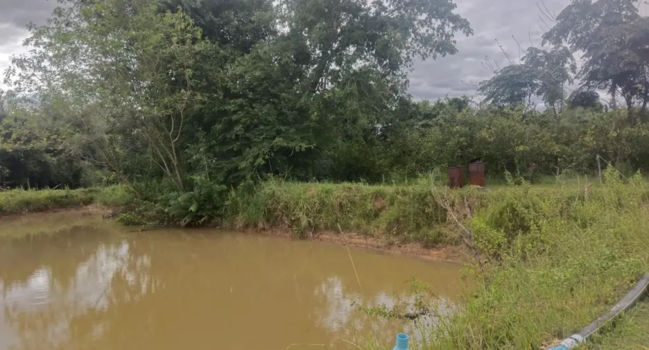 For sale land in Sirindhorn, Ubon Ratchathani