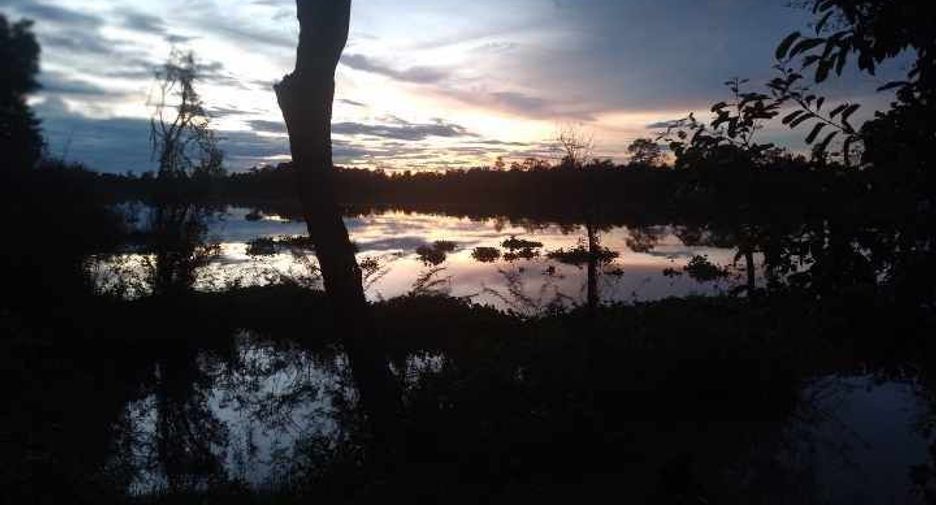 出售 土地 在 Sirindhorn, Ubon Ratchathani