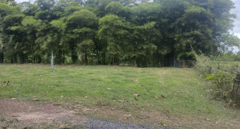 For sale land in Sirindhorn, Ubon Ratchathani