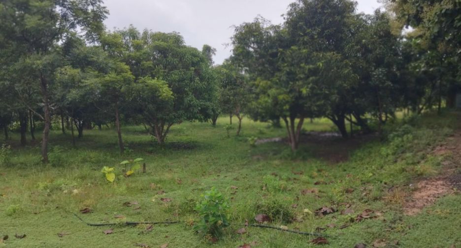 For sale land in Sirindhorn, Ubon Ratchathani