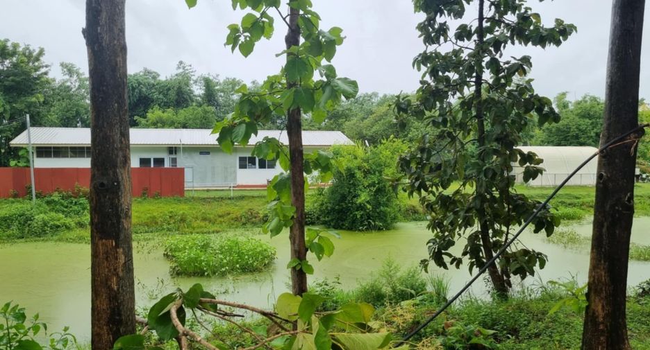 For sale land in Sirindhorn, Ubon Ratchathani
