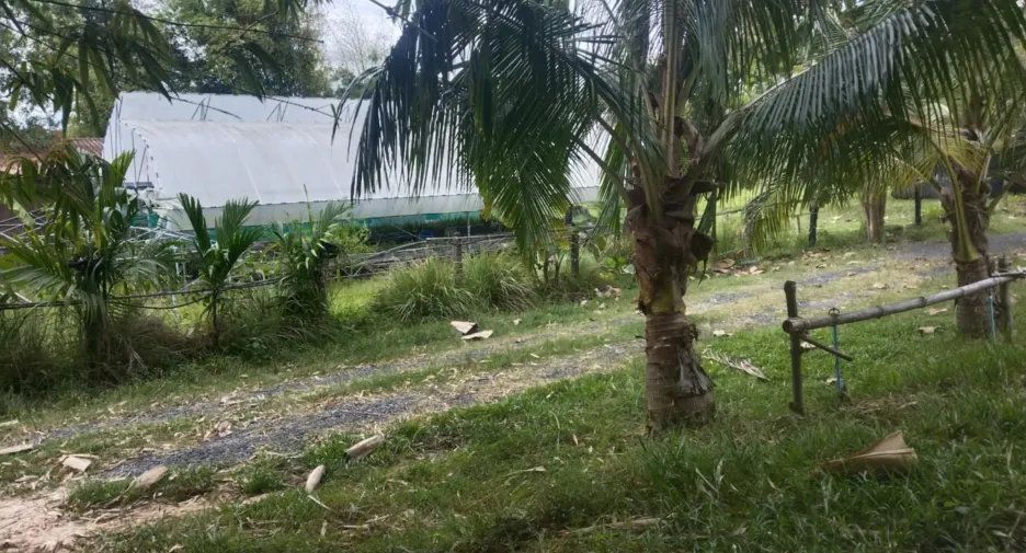 For sale land in Sirindhorn, Ubon Ratchathani