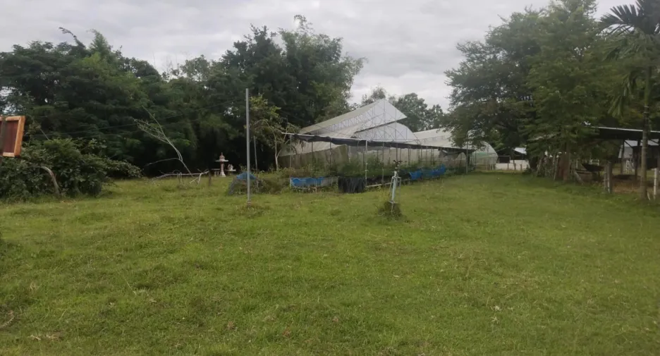 For sale land in Sirindhorn, Ubon Ratchathani