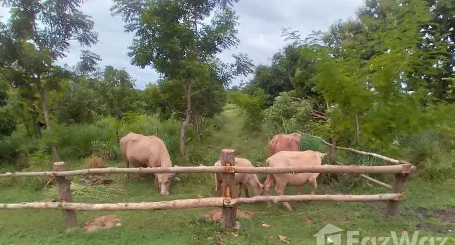 For sale land in Sirindhorn, Ubon Ratchathani