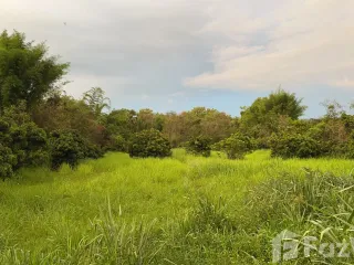For sale land in Hang Dong, Chiang Mai