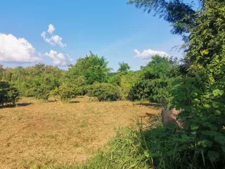 For sale land in Hang Dong, Chiang Mai