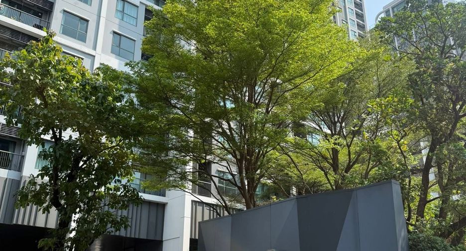For sale and for rent 1 bed condo in Khlong Toei, Bangkok