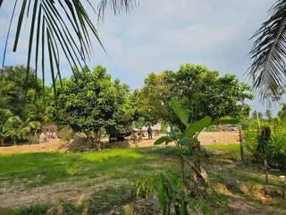 For sale land in Bang Lamung, Chonburi
