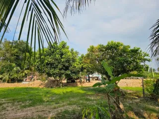 For sale land in Bang Lamung, Chonburi