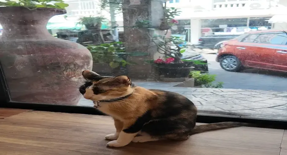 For sale 1 bed retail Space in South Pattaya, Pattaya