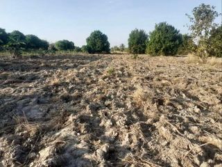 For sale land in Bang Lamung, Chonburi