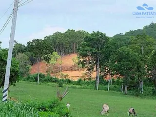 ขาย ที่ดิน ใน นาจอมเทียน, พัทยา