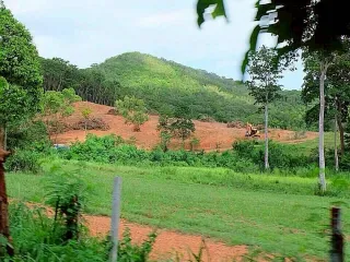 ขาย ที่ดิน ใน นาจอมเทียน, พัทยา