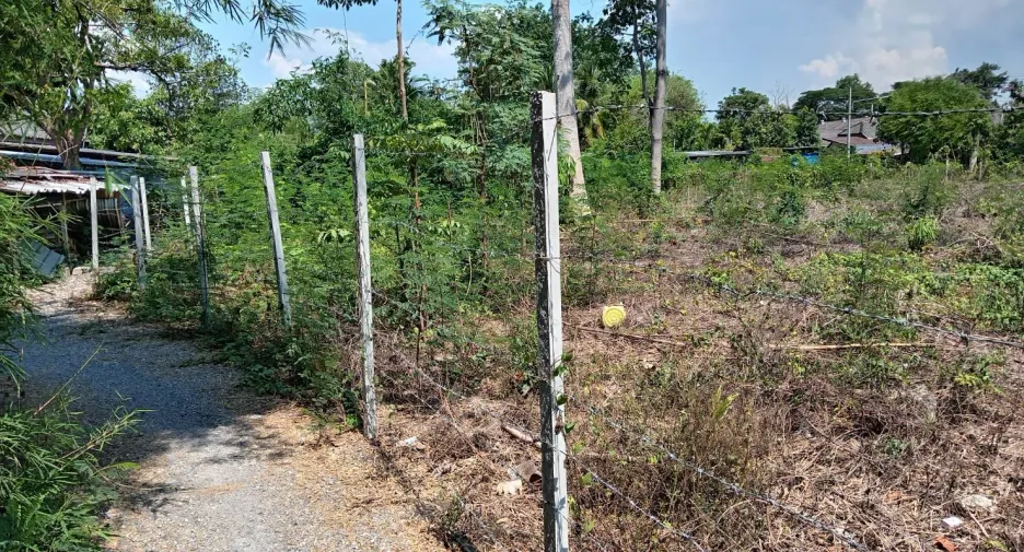 For sale land in San Sai, Chiang Mai